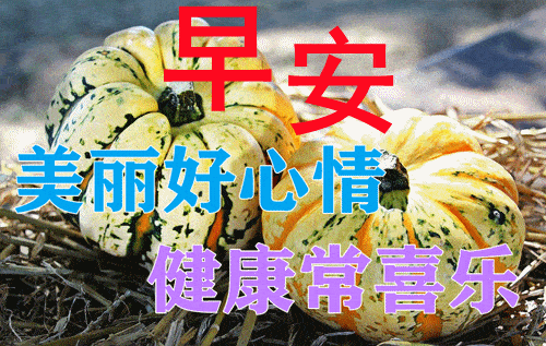 8814cea2d1c54cff97c737e4e2095469.gif