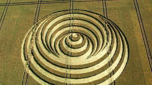 麦田怪圈的真相,跟外星人究竟有无关系?科学家:难说