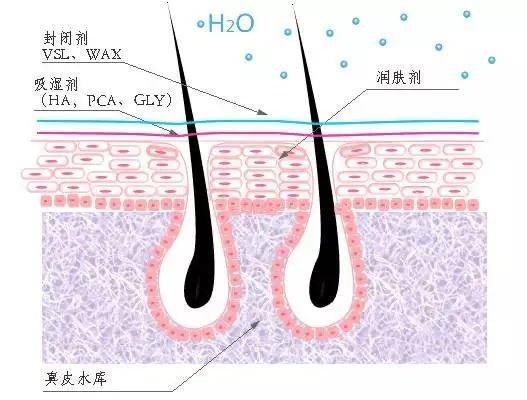 能力秋冬护肤、保湿秘诀