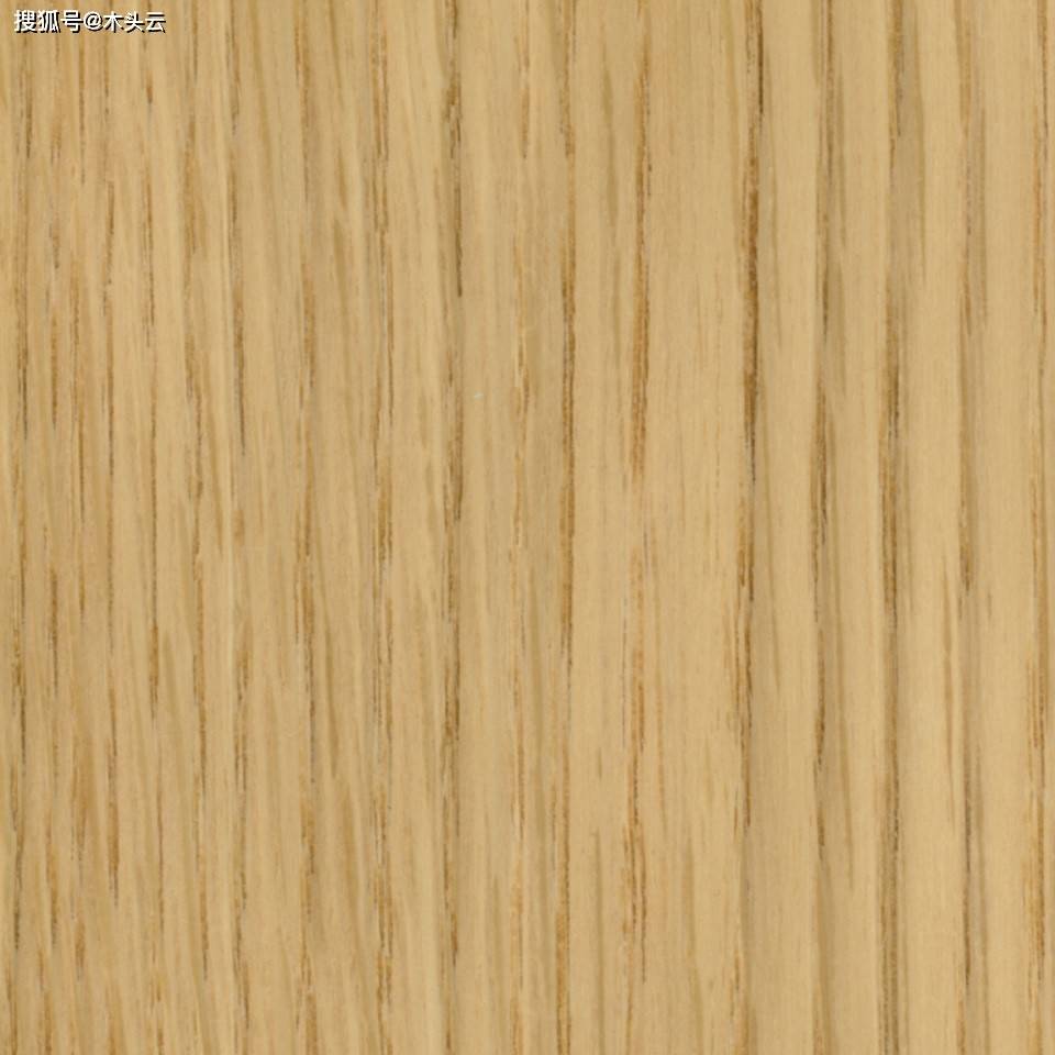 白橡木种类特征与加工_oak