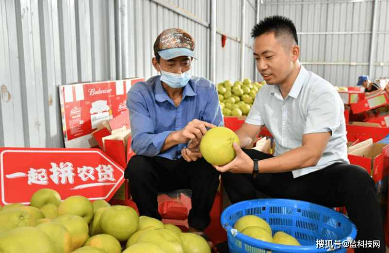 仙游县|如何实现农产品价值最大化？这三个答案让人受益匪浅