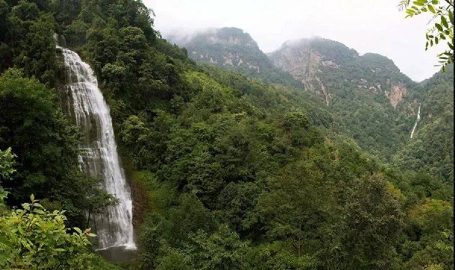 让我们走进景东县景福镇岔河村,看看那石头村寨里的万亩核桃园.