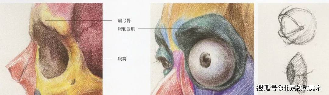 素描校尉美术：素描五官详解，看完这篇搞定素描头像！