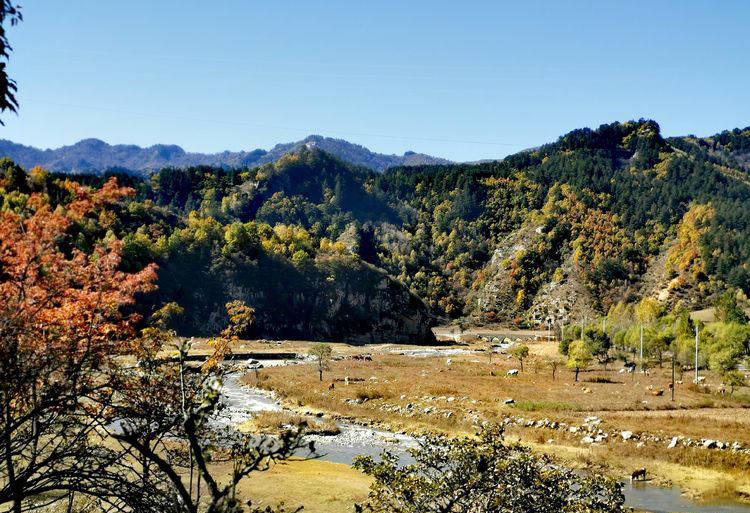 华北|醉美交城山 梦幻庞泉沟