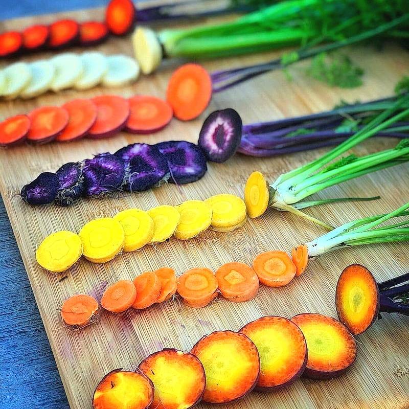 秋冬季适播品种推荐彩虹胡萝卜rainbowblendcarrot