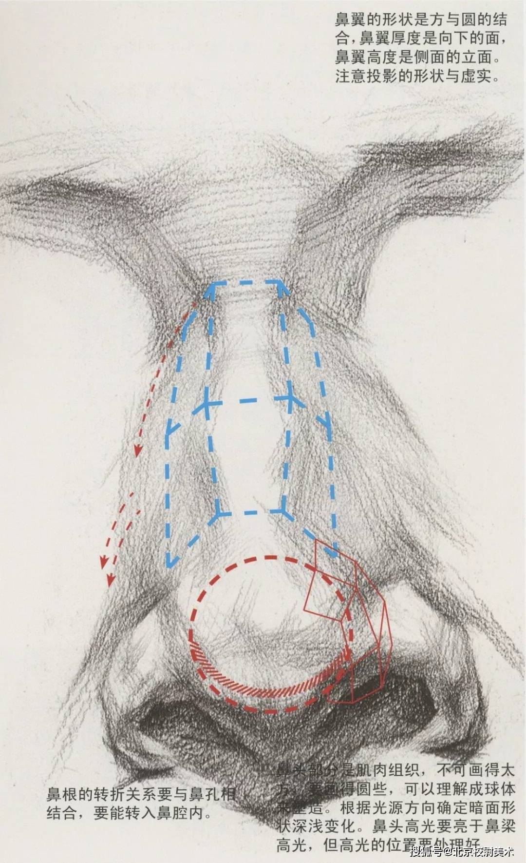 素描校尉美术：素描五官详解，看完这篇搞定素描头像！