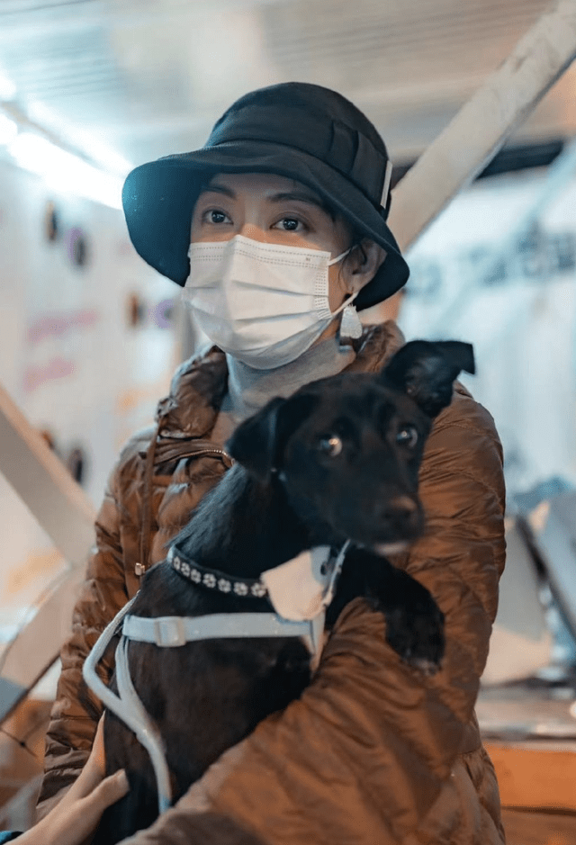 救助孙俪带儿女路边摆摊义卖，救助流浪动物获点赞，但商品定价惹争议