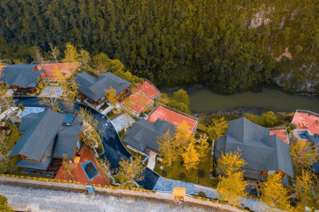 唯美|银杏村悬崖酒店丨徜徉在大滇西环线游唯美之秋，住悠然半山酒店