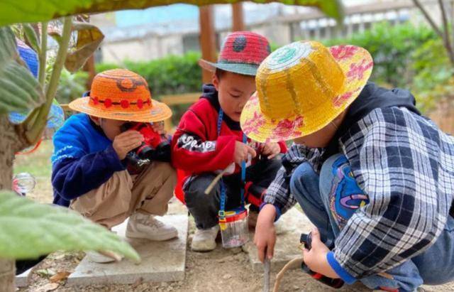 小区|教育部最新通知，幼儿园迎来“大变革”，家长：幸福来得太突然