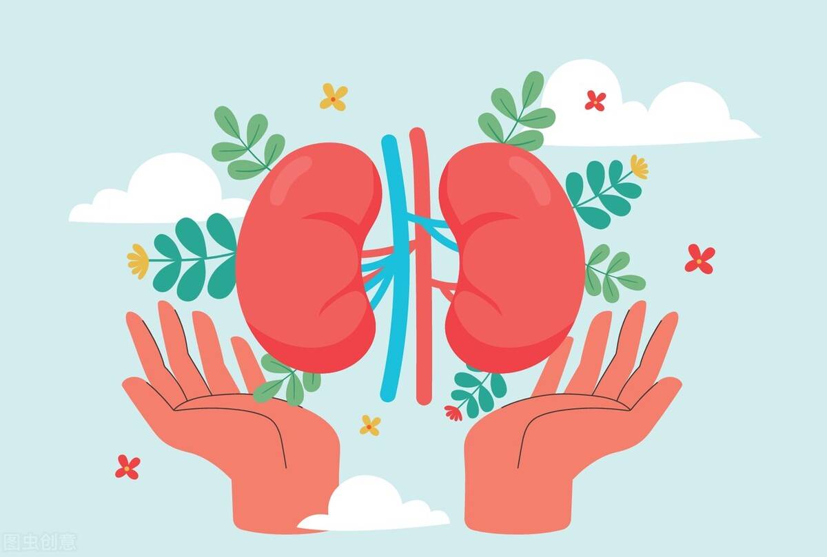 蛋白尿|肾友每年都查肾功能,为何还要验“尿常规”?