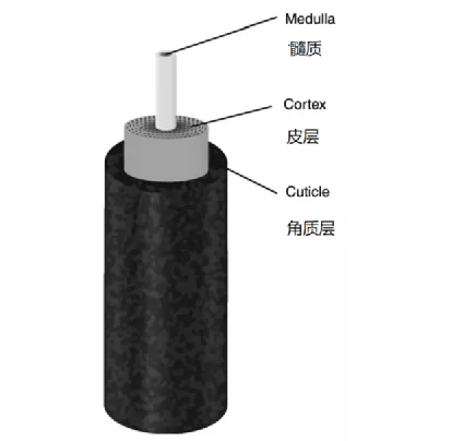 pxhere头发掉了能戴帽子，睫毛掉了只能哭！睫毛增长液能补救吗？？