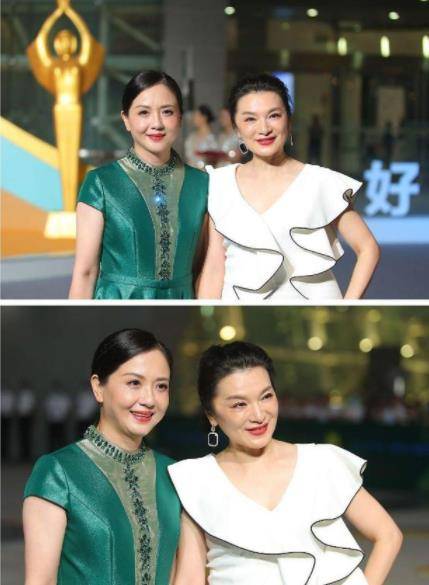 身材 陶慧敏穿收腰裙亮相,身材肉感被放大了,越发有贵妇的模样了