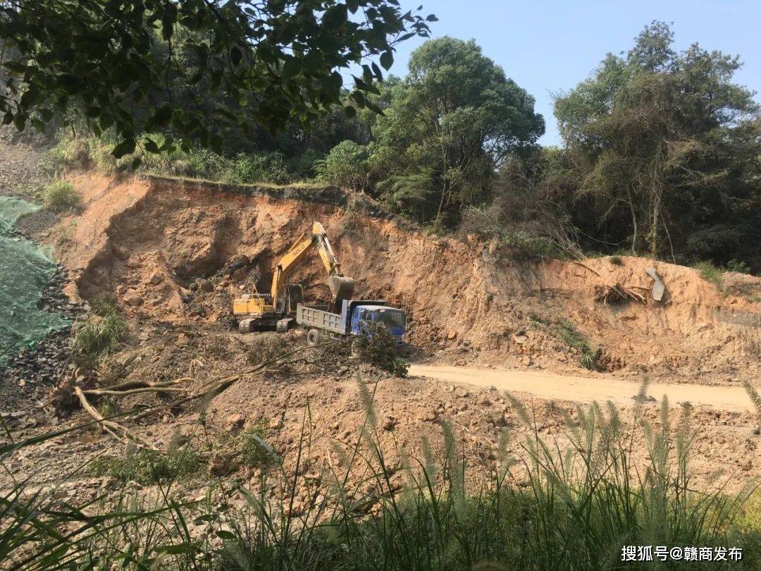 高安市建山镇政府混淆办证概念 默许砖厂毁林偷