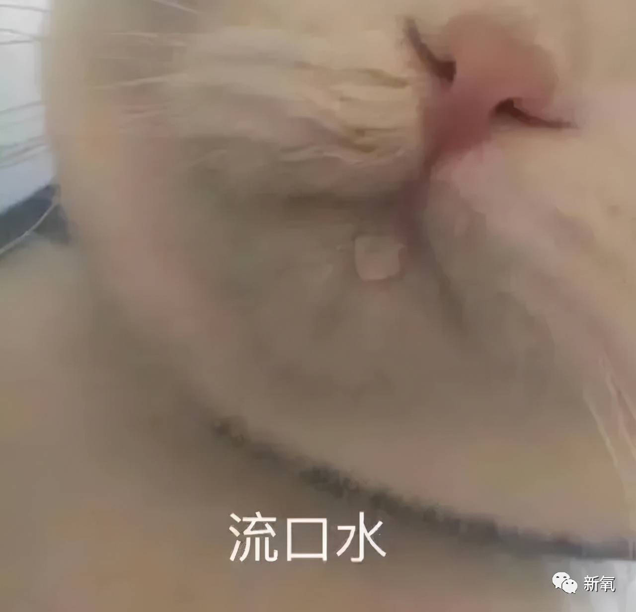 Charles 这是人类能长出来的脸吗?!