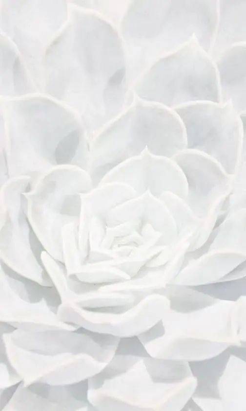 机理想要一次搞定抗衰+美白？这8个产品必须收好！