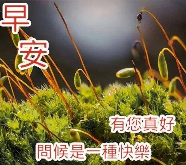 10.23周六最新版早安短信问候祝福语大全,最美早安问候语图片带字温馨