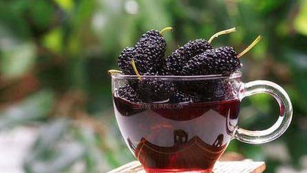 的作用|桑葚酒有什么好处？女生每天喝一杯，暖身暖心手脚不冷