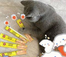 猫咪|猫喜欢的零食有哪些,双十一不容错过的猫零食推荐