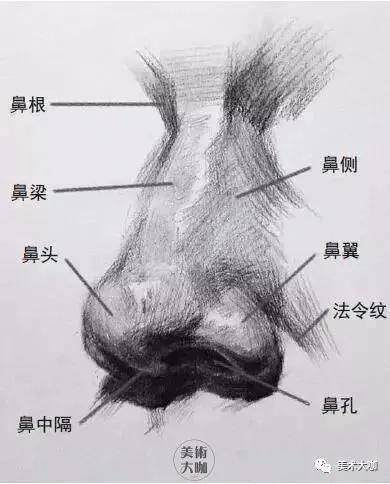 头像素描课堂｜素描五官画法大全，看这一篇统统搞定！