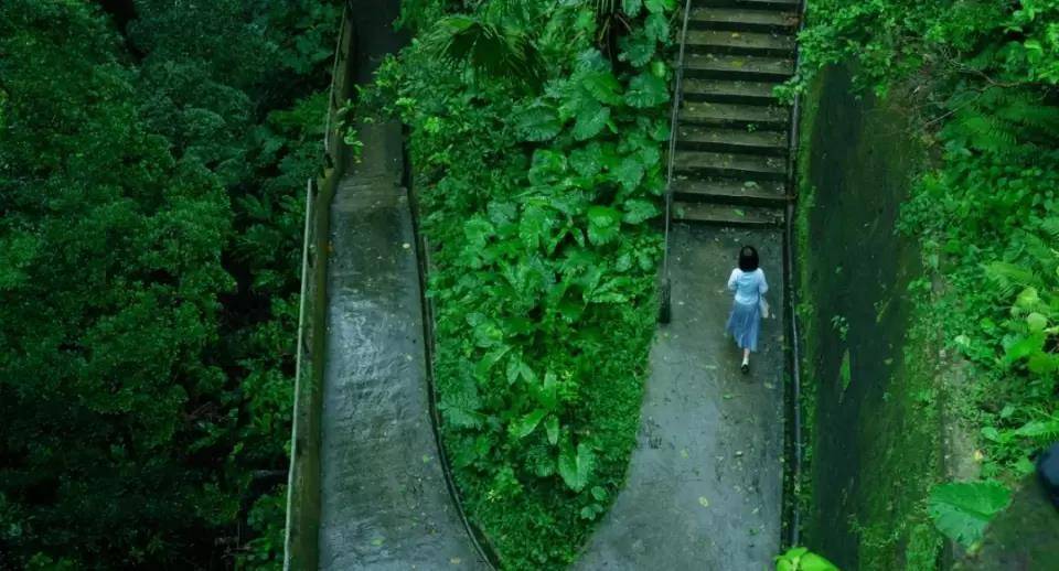 底线|被骂上热搜2年,马思纯和彭于晏这场恋爱,烂透了!