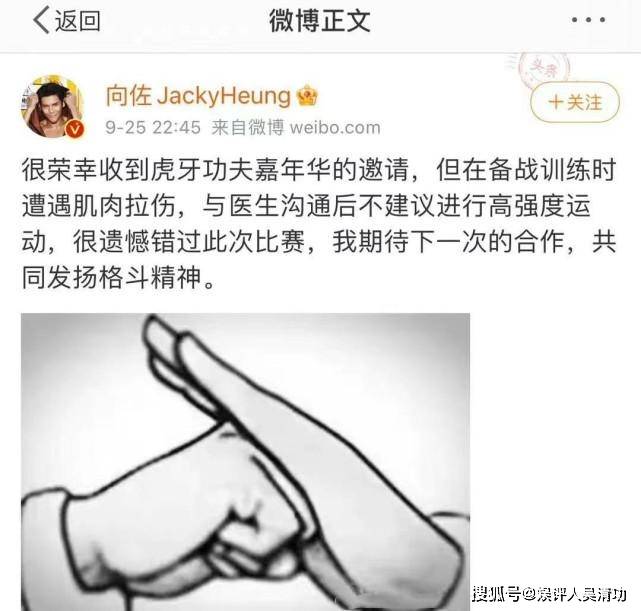 拳击|向佐打拳击输给了肖顺尧，怪不得曹云金质疑药水哥曾“放水”向佐