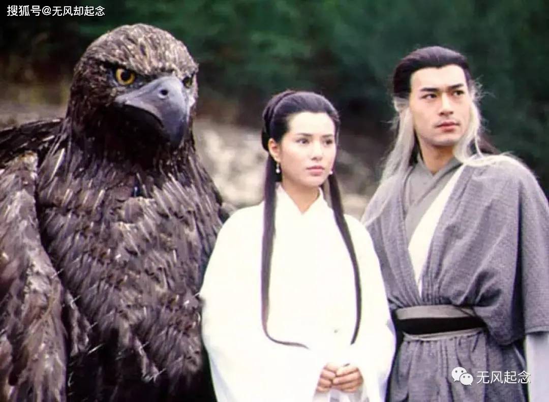 杨过|杨过的大雕去哪里了？最终结局只有一个，可是金庸没明说