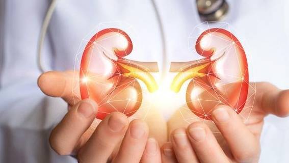 饮食|导致蛋白尿反复的原因无非3点，肾友早认识到，能避免肾衰竭