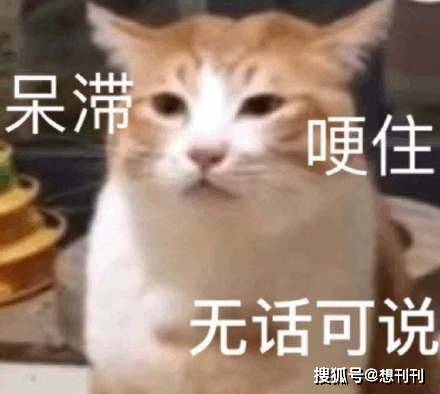 罗斯26分 空有帅气外表毫无实力的6大男星 除营销颜值无法立足 太无语