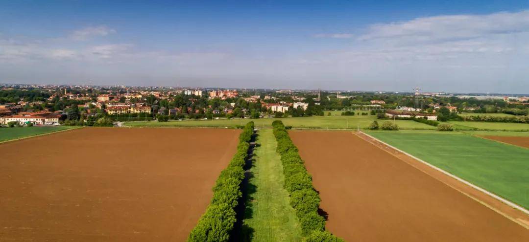 产地|农业品牌价值四层级,你的品牌处在什么位置?