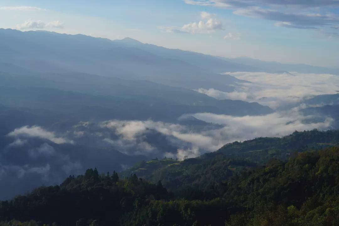 水面|腾冲龙川江峡谷：梯田如画稻谷香