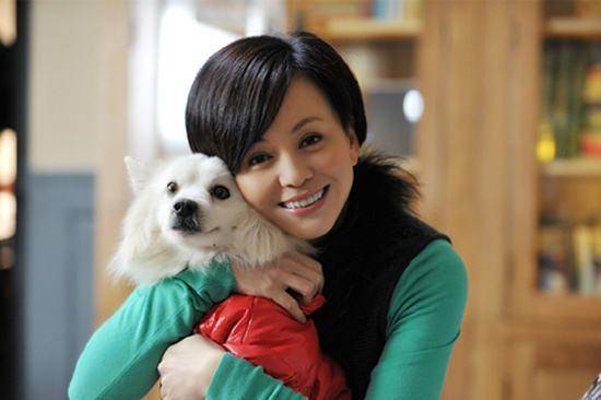 学历会影响考研吗 来自上海的四位女明星 个个实力不凡 美丽动人 你喜欢哪一个