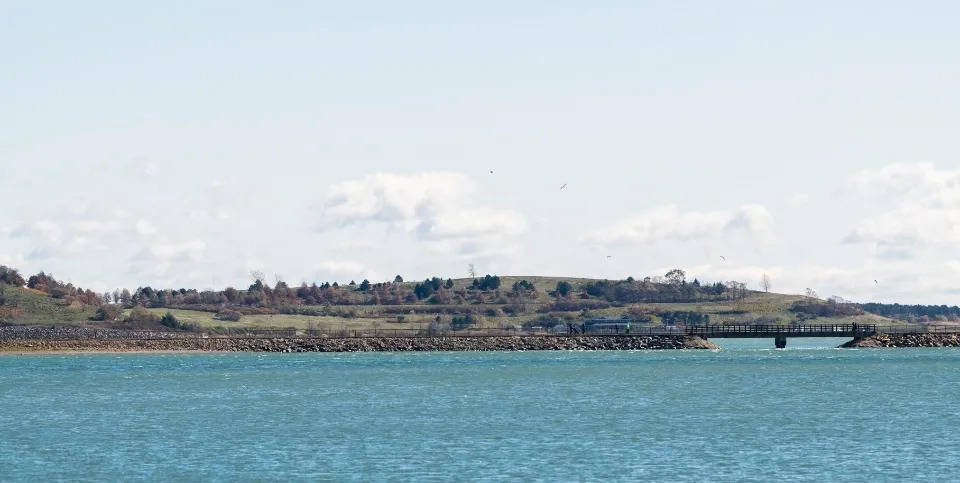 苏宁易购第三季度预亏高达43亿,处在黎明前的黑夜?-家电圈官网