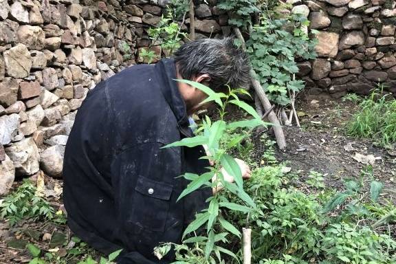 说法老话说：“锁口纹饿死人，眉过眼使金碗”，啥意思？啥是锁口纹？