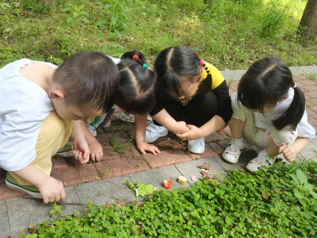 教学|【教师专访第一期】她将一份细水长流的热爱，变成默默无闻的坚守