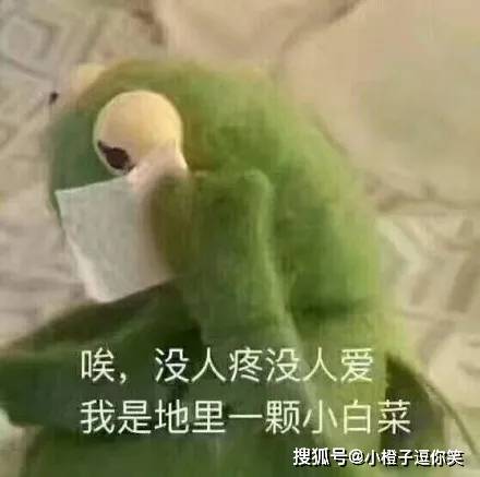 每日搞笑段子：有效糾結 VS 無效糾結~ 搞笑整蠱 第8张