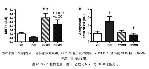 相关|LLT NMN激活长寿蛋白 解锁身龄密码