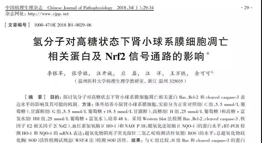 治疗|世界首例猪肾成功移植人体！“氢”对人类肾病有哪些研究？