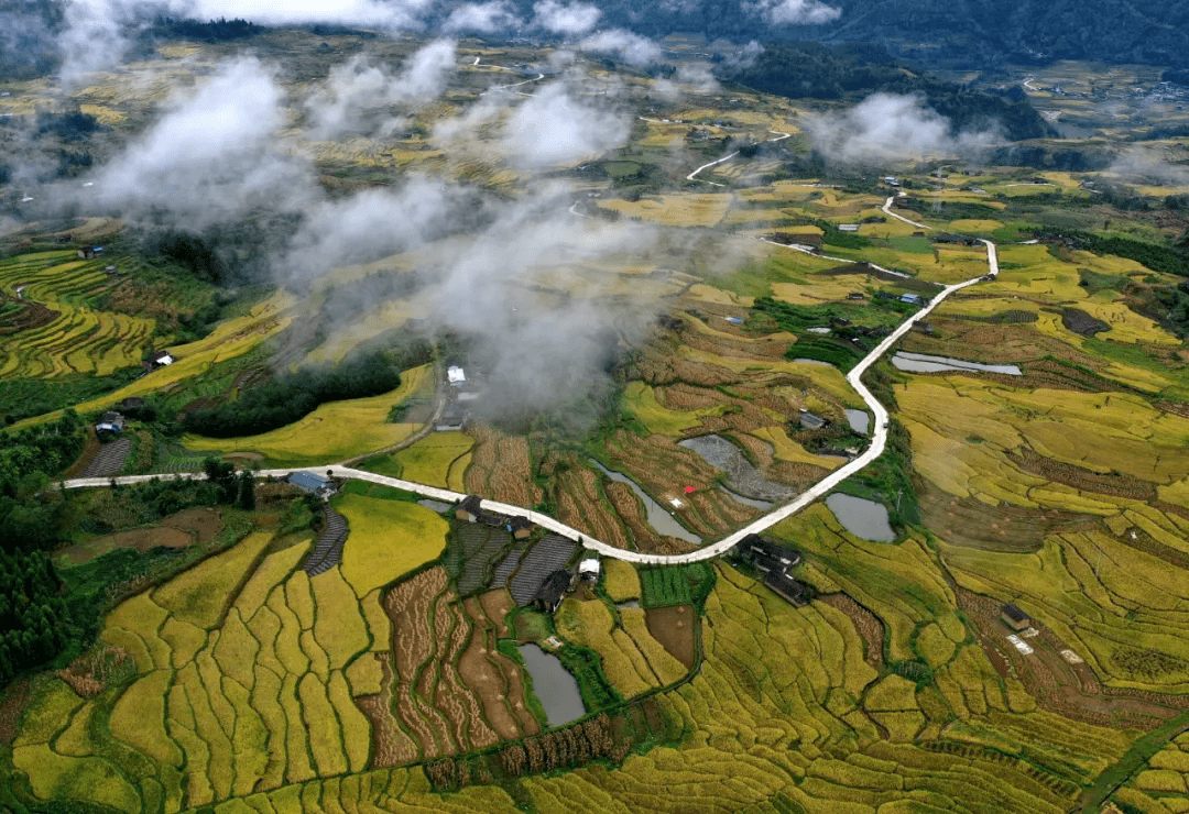 水面|美文分享丨腾冲龙川江峡谷：梯田如画稻谷香