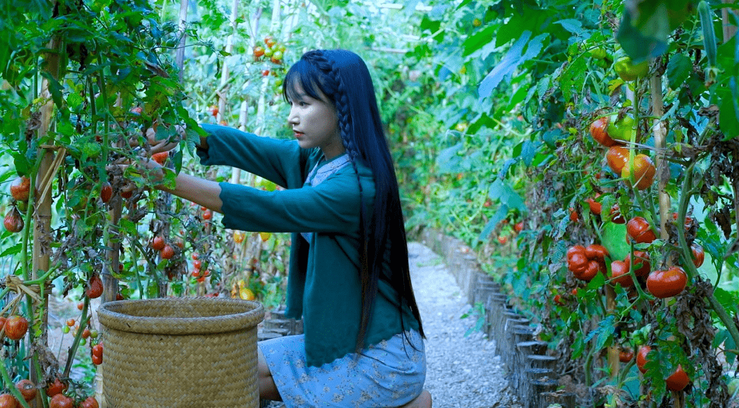 粗布 31岁李子柒在央视镜头下,感觉颜值也不差,一身清修造型很朴素