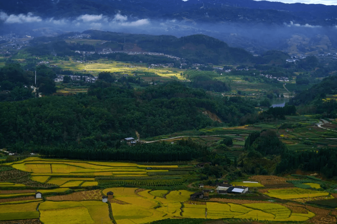 水面|美文分享丨腾冲龙川江峡谷：梯田如画稻谷香