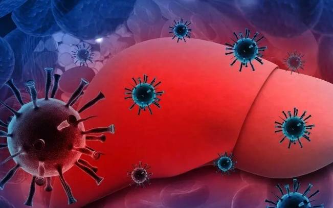 治疗|肝硬化发现要趁早,抓住早期3个症状,或许能助你阻止肝“变硬”