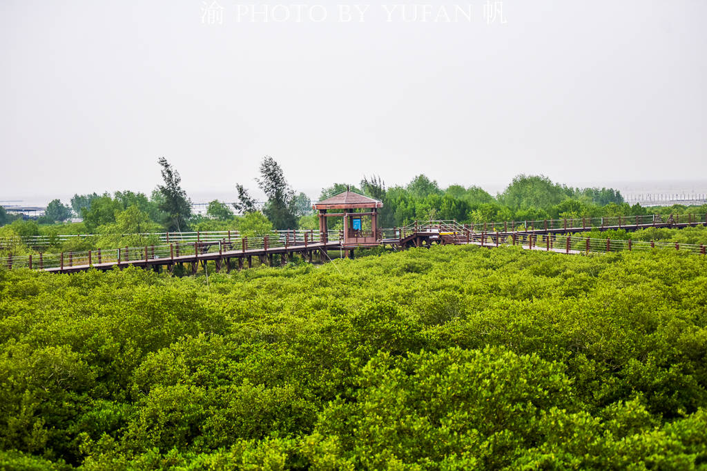 渔港|广东海陵岛超级实用的游玩攻略，九大景点不容错过，比三亚还好玩