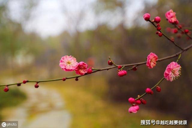 Cgbrh6acjlfimm Cgbrh6acjlfimm