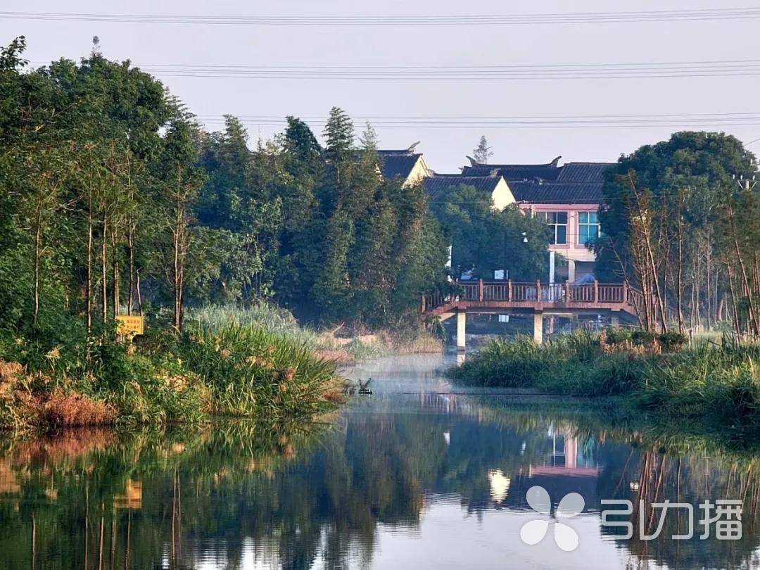 古道古桥古树，天阔云淡，稻田飘香，苏州浒墅关乡村秋景美如画