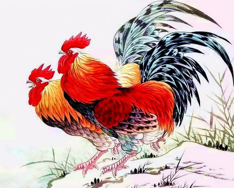 生肖鸡,金鸡独立在今年,哪个月财运上佳,生活变好,值得把握?_属鸡