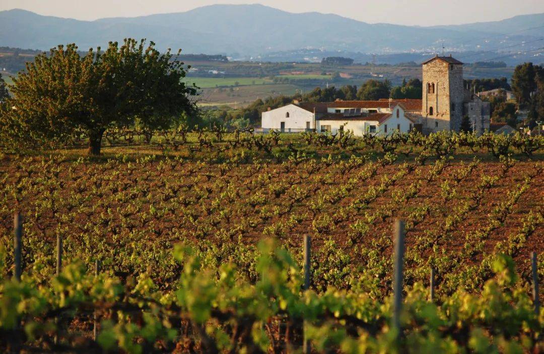 The|厦门酒圈永动机——The F. Bistro主理人何患