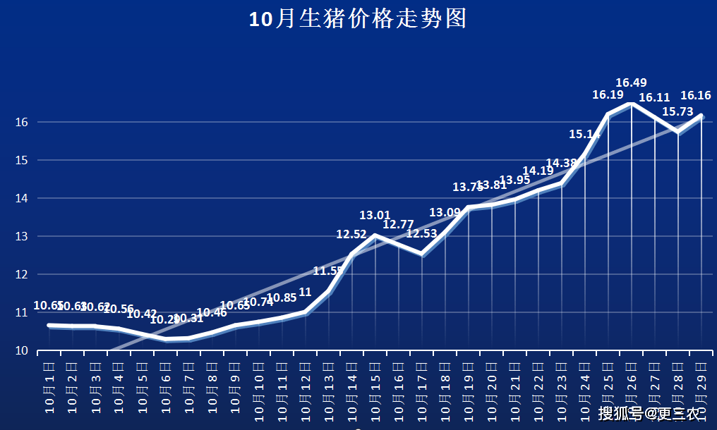 生猪价格涨势反扑 全国猪价一片红 附10月29日猪价 市场