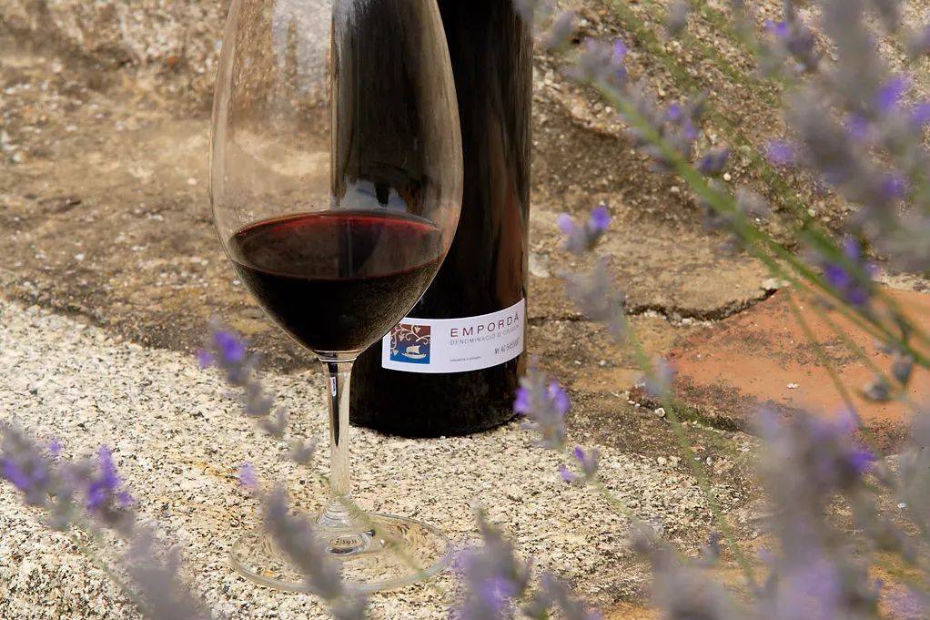 The|厦门酒圈永动机——The F. Bistro主理人何患