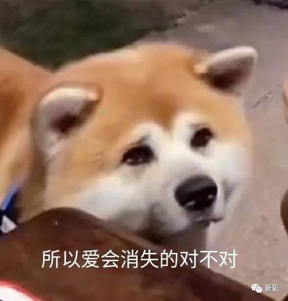 电影 怪马思纯的那些人，是看了和田惠美过去的作品吗？