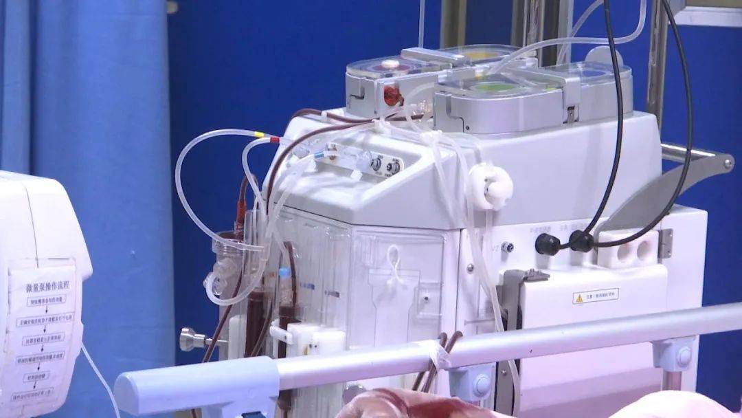 草乌|腹泻、胸闷、浑身无力...煮食附子中毒入院，医生建议：食用这些药材需谨慎！